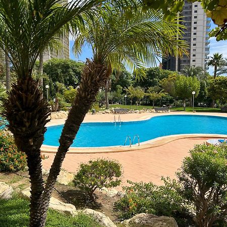 Murtal Apartment Benidorm Exteriör bild