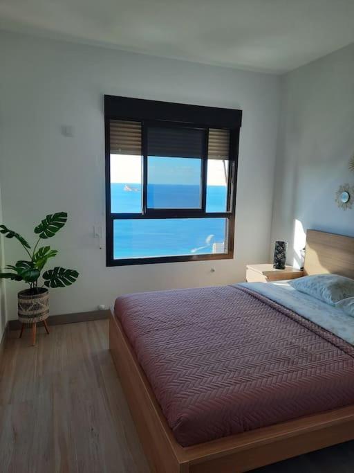 Murtal Apartment Benidorm Exteriör bild
